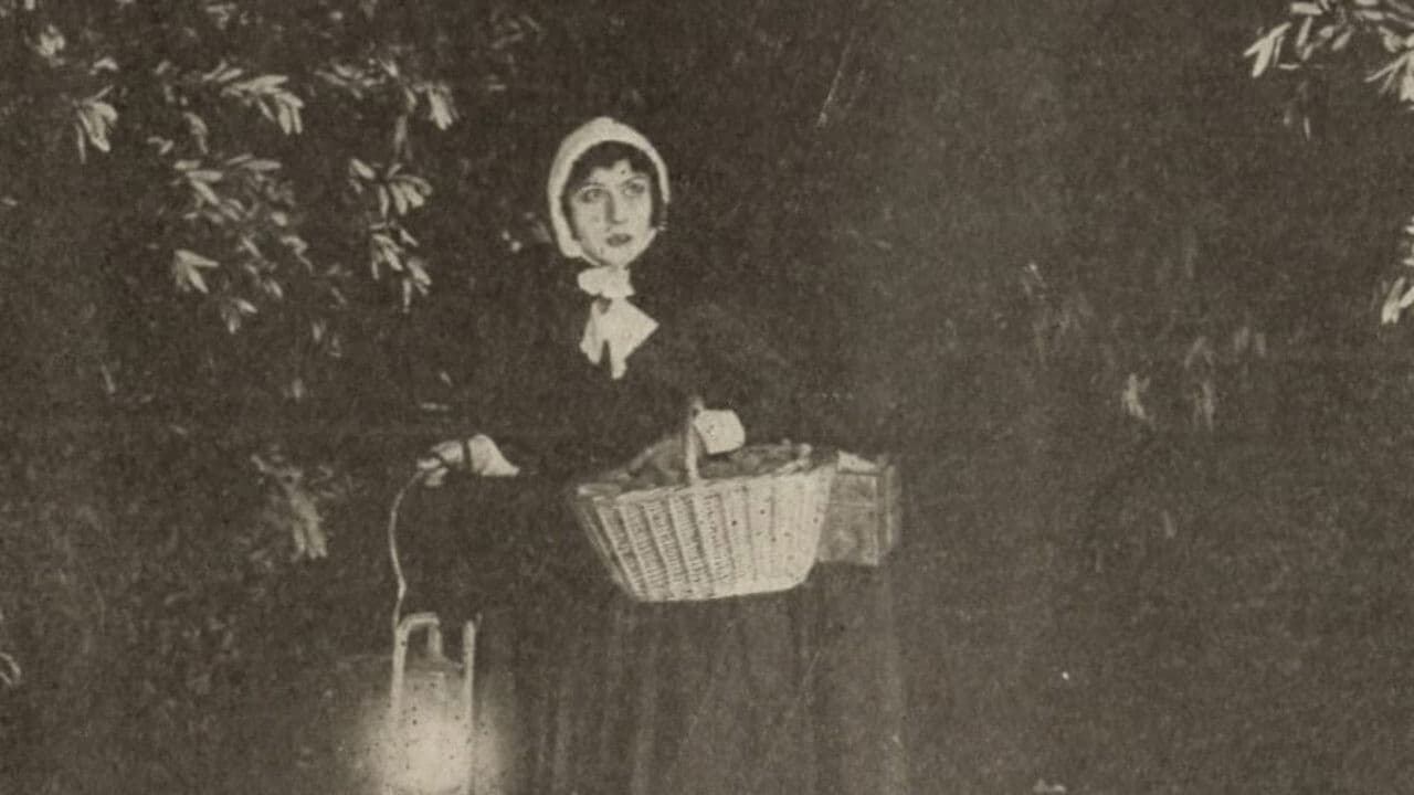 The Seekers backdrop