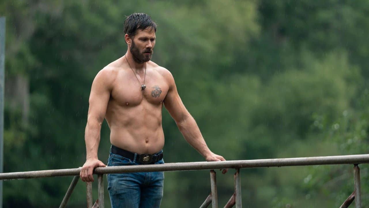 Lone Star Bull backdrop